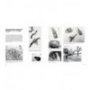 LEARN TO SEE LEARN TO DRAW