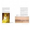 LIGHT IN ART