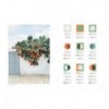 PALETTE PERFECT VOL. 2
