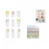 PALETTE PERFECT VOL. 2