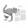 100 WAYS TO DRAW A BIRD AND MAKE A LIVING FROM  ILLUSTRATION