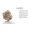 HOW IDEAS ARE BORN: CERAMIC ARTISTS ON CREATIVE PROCESSES