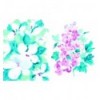 REVERSE COLOURING JOURNEYS: BOTANICAL INSPIRATION IN REVERSE