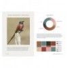THE PALETTE PERFECT GUIDES: NATURE'S LIVING COLOR PALETTES