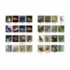 THE PALETTE PERFECT GUIDES: NATURE'S LIVING COLOR PALETTES
