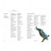 100 WAYS TO DRAW A BIRD AND MAKE A LIVING FROM  ILLUSTRATION