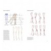 FIGURE DRAWING FOR FASHION DESIGN (NEW 3RD EDITION)