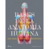 BASES DE LA ANATOMÍA HUMANA